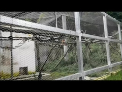 Đường lưới cáp thép không gỉ kiến trúc bền