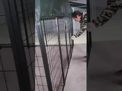 6FT cao hàn thép chó Kennel bột phủ chó chạy nhà