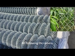 Điện gia công kim cương dây lưới 2 inch dây chuyền liên kết hàng rào trang trại