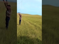 Hot Dip Galvanized Cattle hàng rào Panel 8 ft chiều cao cố định Knot Deer Wire Mesh hàng rào