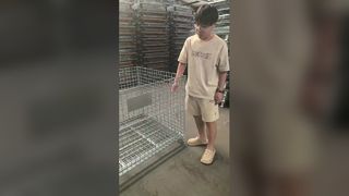 Lồng lưu trữ lưới thép có thể gập lại hạng nặng cho nhà kho