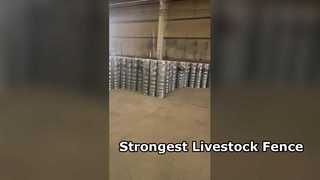 Hàng rào chăn nuôi mạnh mẽ cho ngựa gia súc