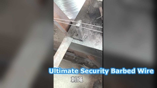 Hàng rào an ninh dây thép gai mạ kẽm 25kg