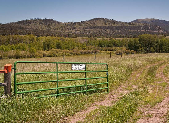 5 Rails Galvanized Oval Tube Metal Cattle Sheep Fence Panel 