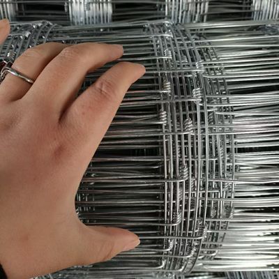 1.5M Bảng gia súc nhựa, Bảng vật nuôi kim loại cho nông trại
