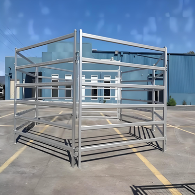 6Rails Heavy Duty Galvanized Livestock Panel Bò bò